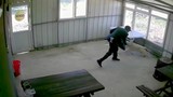 Eli bastonlu caniden 5 aylık yavru köpeğe görülmemiş şiddet kamerada!