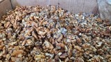 Yüzden fazla şubesi olan baklavacıdan ''mide bulandıran'' açıklamalar