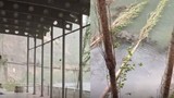 Şiddetli fırtına bir ilimizi yerle bir etti