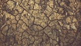 Türkiye'nin ''deprem kadar yıkıcı olacak'' kabusunda risk haritası belli oldu