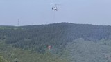 İstanbul'da orman yangını: Bölgeye helikopter sevk edildi