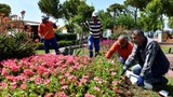 Muratpaşa’nın renkli emeği: Çiçek Desenleri Günleri başlıyor