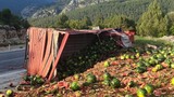 Kamyon devrildi, yol karpuz tarlasına döndü
