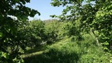 Karadeniz'in kabusuna karşı buldukları yöntem herkesi şaşırttı