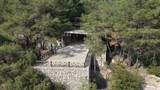 Türkiye'nin bu ''sır'' yazıtları artık UNESCO Dünya Belleği Kütüğü'nde