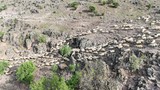 Türkiye'nin her yıl tekrarlanan büyüleyici ''Şafaklılar'' yolculuğu başladı...