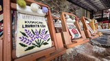 Minyatür ama servet değerinde! 100 bin TL'ye kadar alıcı buluyor