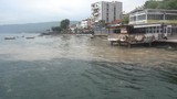 Yaz aylarının mide bulandıran kabusu denizlerimize geri döndü!