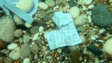 ''Bir umuttur'' diyen vatandaşların hıdırellez dileklerinden neler çıktı neler...