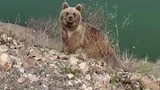 Videosunu çekmek istediği ''koca oğlan'' aklını aldı!