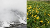 Bu iki fotoğraf aynı ilimizde çekildi: Bir yanda kış diğer yanda bahar!