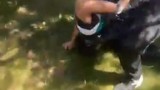 Şehir teröristleri kamerada: 12 yaşındaki çocuğu öldüresiye darbedip videosunu çektiler!
