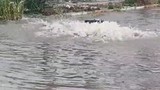Metrekareye tam 70 kg yağış düştü her yer göle döndü!