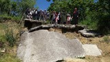 Şehrin ortasında vatandaş vahşi hayvan korkusuyla yaşıyor!