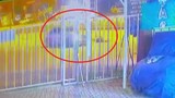 Karşıdan karşıya geçen gence çarptı, talihsiz genç öldü, araç sürücüsü basıp gitti...