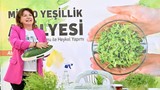 Muratpaşa’da heykeller yeşerdi, minyatür bahçeler ortaya çıktı