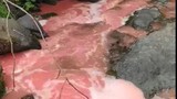 Karadeniz'in cenneti kırmızıya büründü: Bölge halkı büyük panik içinde!