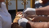 Asrın felaketinde yerle bir olan ilimizde kuduz alarmı: Karantinalar başladı!