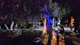 Bağ evinde cinayet: Kayıp gencin cansız bedeni bulundu