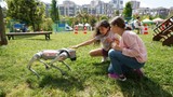 Beylikdüzü'nde Çevre Haftası'na özel ''Doğaya Dönüşüm Festivali'' düzenlendi