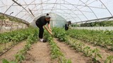 ''Kız başınıza yapamazsınız'' dediler, ''Hakkari'de olmaz'' dediler ama onlar başardı