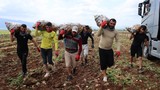 Onlar Türkiye'nin aylık 100 bin TL kazandıran en zor işin en özel işçileri..