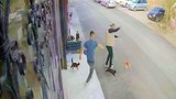Türkiye'nin kedi çetesi iş başında: Köpek gezdiren vatandaşı pişman ettiler!