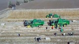 30 milyon dolara kurulan şirket iflasın eşiğinde