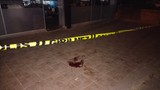 İstanbul'da bir kadın kendini 3'üncü kattan aşağı attı