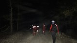 Bir şehir tabiat parkında kaybolan kadını arıyor