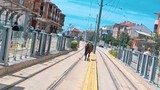 Duraktakiler tramvay beklerken bakın ne geldi! Şaşkına çeviren görüntü
