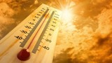 Hava durumu raporu açıklandı: Bir yanda aşırı sıcaklar, diğer yanda yağmur var...