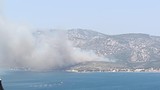 İzmir'de ormanlık alanda yangın