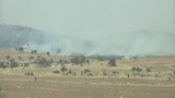 Mardin'de orman yangını