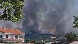 Edirne'de büyük orman yangını! Dumanlar her yeri sardı...