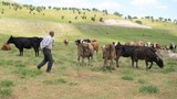 Çoban öyle bir maaş istedi ki... Duyanlar kulaklarına inanamadı
