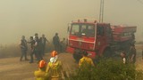 Yaz aylarının kabusu geri döndü: Alevler bir mahalleyi sardı!