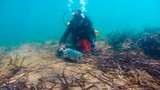 Bodrum'da deniz dibi temizliği Turgutreis’te devam etti