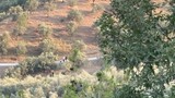 Ekrem İmamoğlu'nun babasına ait arazide arama başlatıldı