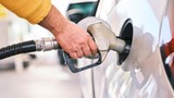 Bu araçlar yakıtı kokluyor! Elektrikliyle benzinli arasında uçurum var!