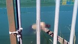 Adana'da sulama kanalında ceset bulundu