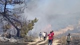 Sizin piknikteki çay keyfiniz batsın! Semaveri yakarken ormanı da yaktılar!