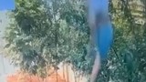 Hamile genç kadın 3. kattan düşerek hayatını kaybetti!