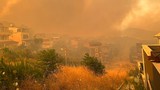 İzmir'de alevler durdurulamıyor! Belediye başkanı ''acil'' diyerek yardım istedi