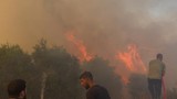 Antalya'da orman yangını: İtfaiyenin yardımına vatandaş koştu!