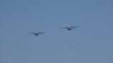 Türk hava kuvvetleri şov yaptı; yeri İHA'lar ilk kez bombardıman görevinde kullanıldı