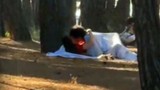 İstanbul'da parkta güpegündüz cinsel ilişki rezaleti