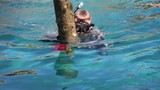 Bodrum'da deniz dibi temizliği Türkbükü'nde devam etti