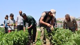 Markette 50 TL'ye ama burada 25 TL! Hem de yüzde 100 organik...
