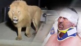 Antalya'da aslan saldırısına uğrayan vatandaştan ilginç ifadeler